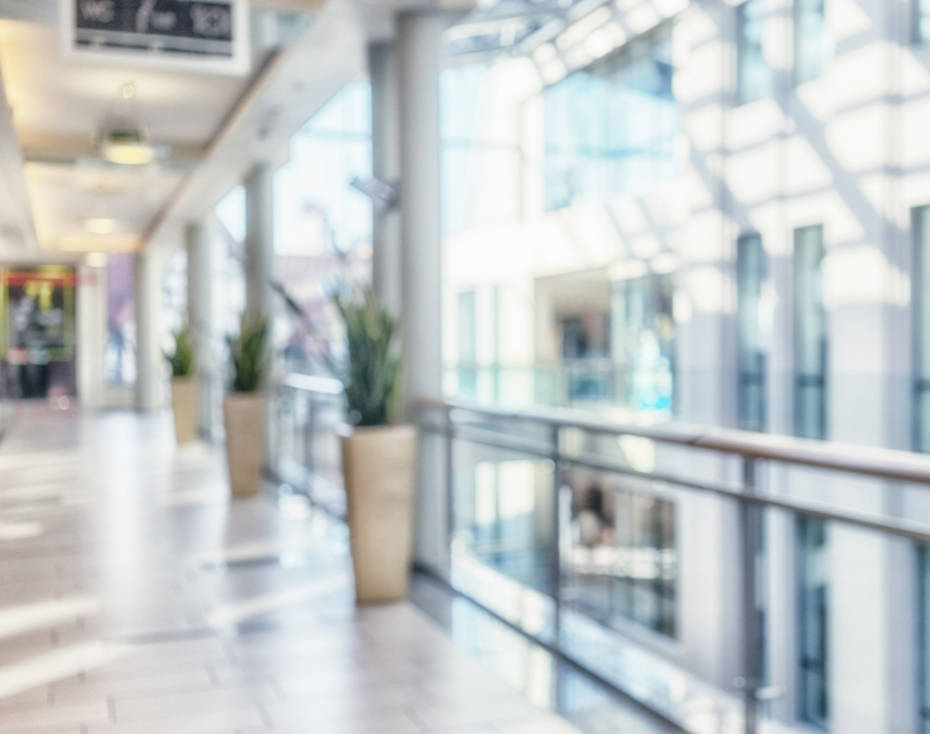 Dentons Hamilton Harrison & Mathews - Legal Alert: Private valuers may